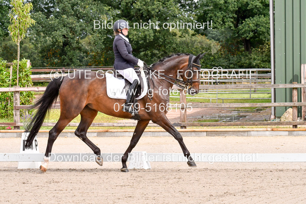 Klkein Offenseth 1.8.2021 | 01082021 Dressur M 2+ +_044 