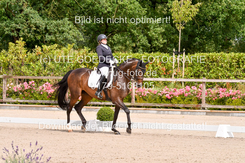 Klkein Offenseth 1.8.2021 | 01082021 Dressur M 2+ +_045 