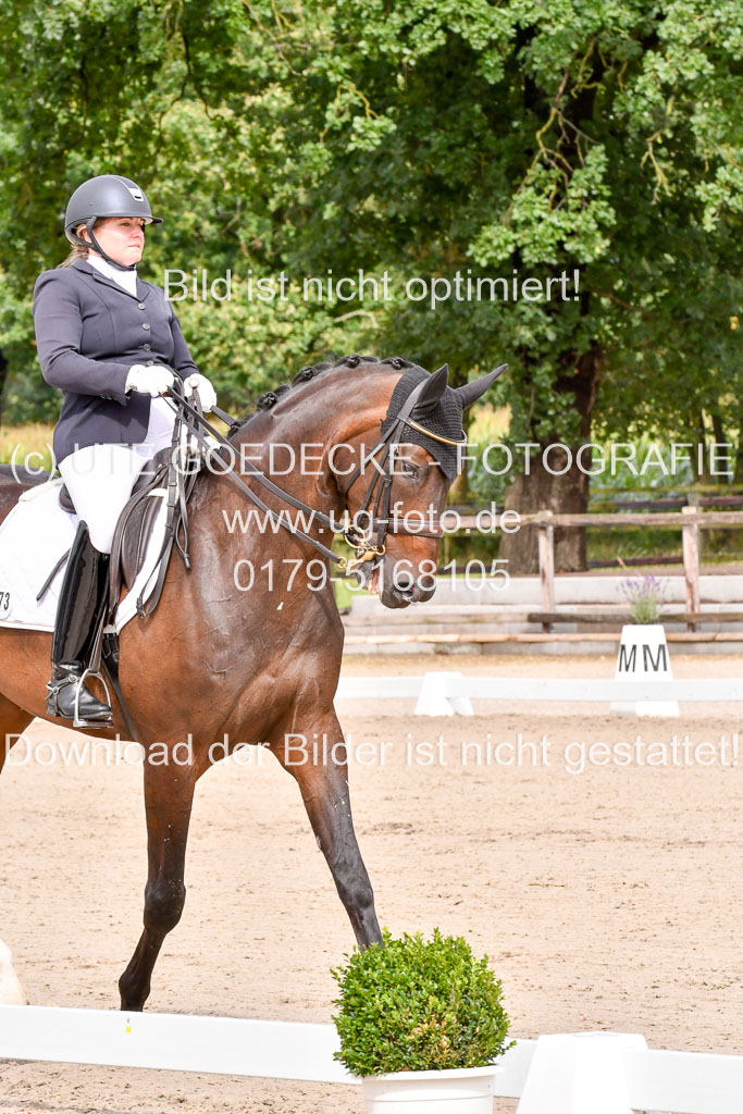 Klkein Offenseth 1.8.2021 | 01082021 Dressur M 2+ +_047 