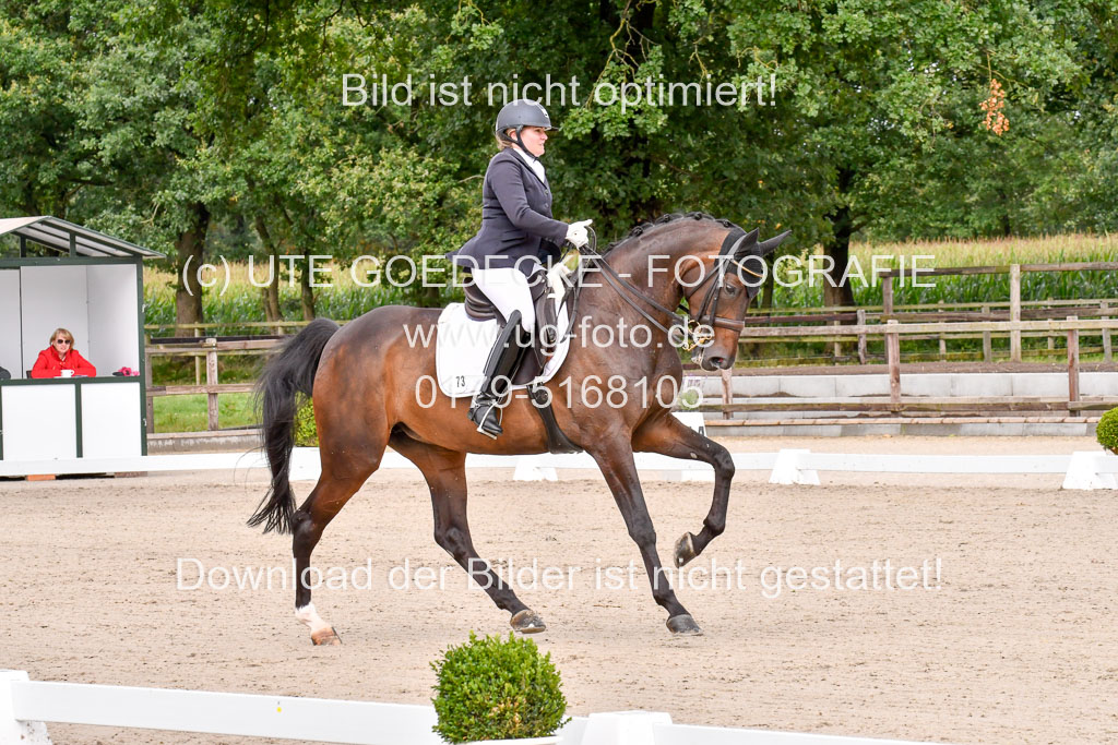 Klkein Offenseth 1.8.2021 | 01082021 Dressur M 2+ +_055 