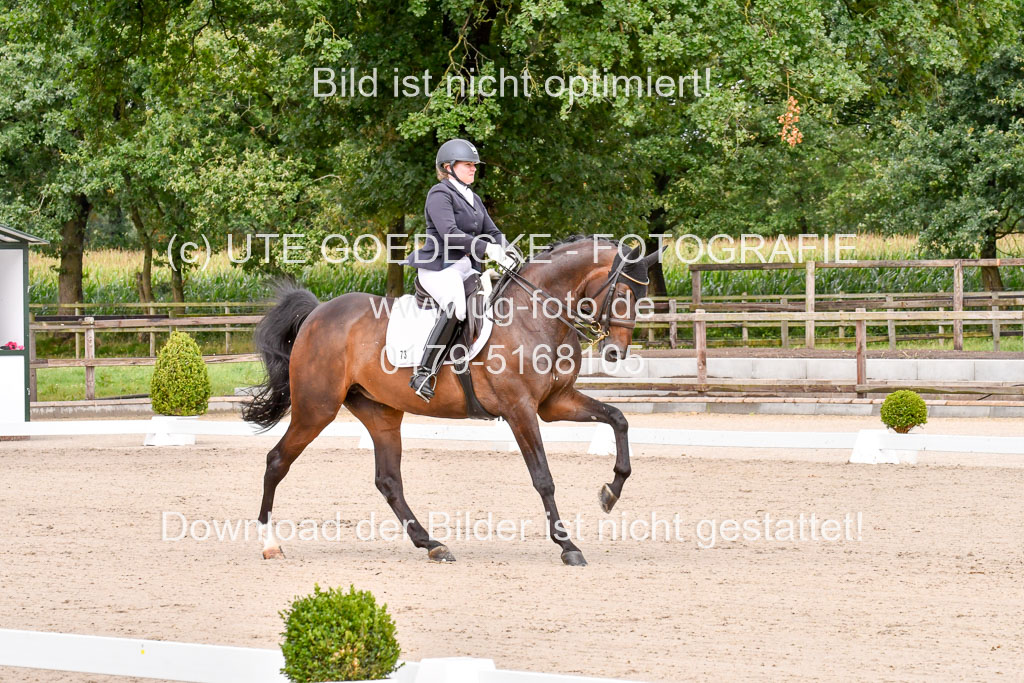 Klkein Offenseth 1.8.2021 | 01082021 Dressur M 2+ +_056 