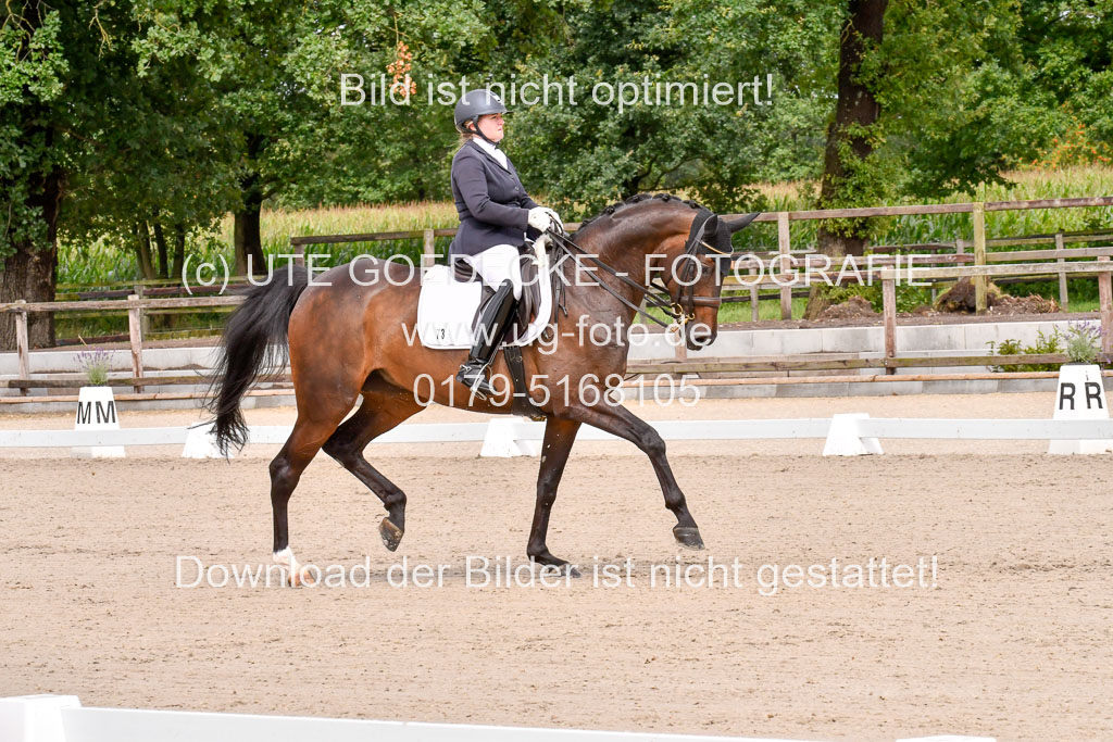 Klkein Offenseth 1.8.2021 | 01082021 Dressur M 2+ +_058 