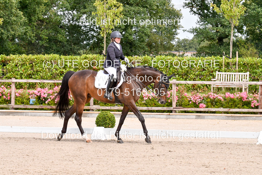 Klkein Offenseth 1.8.2021 | 01082021 Dressur M 2+ +_061 