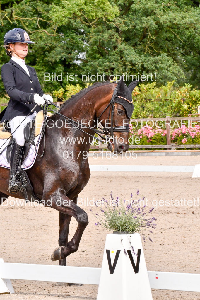 Klkein Offenseth 1.8.2021 | 01082021 Dressur M 2+ +_063 