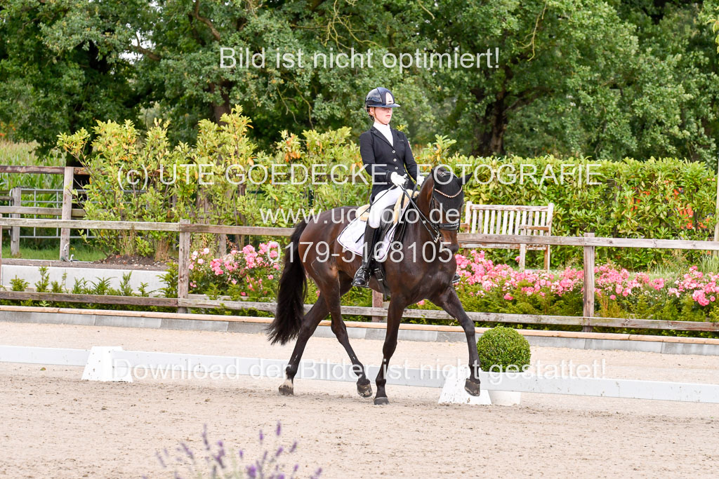 Klkein Offenseth 1.8.2021 | 01082021 Dressur M 2+ +_068 