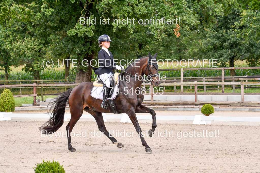 Klkein Offenseth 1.8.2021 | 01082021 Dressur M 2+ +_070 