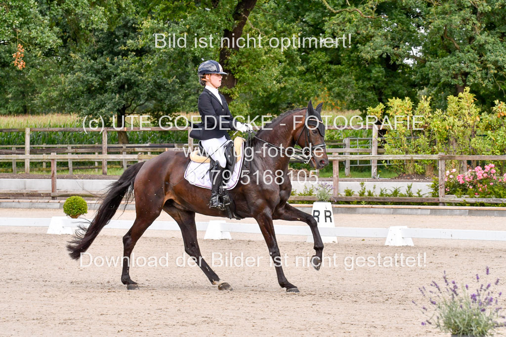 Klkein Offenseth 1.8.2021 | 01082021 Dressur M 2+ +_071 