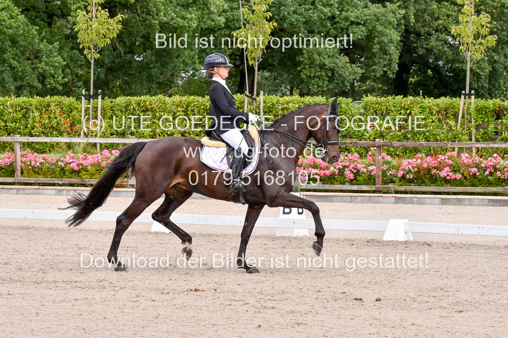 Klkein Offenseth 1.8.2021 | 01082021 Dressur M 2+ +_078 