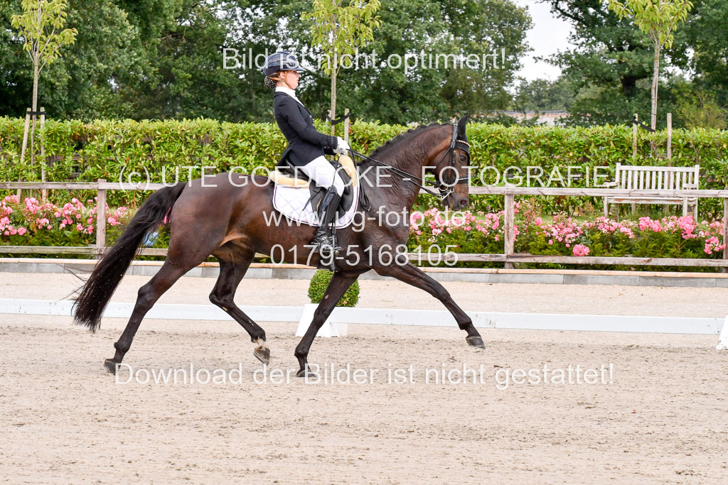 Klkein Offenseth 1.8.2021 | 01082021 Dressur M 2+ +_079 