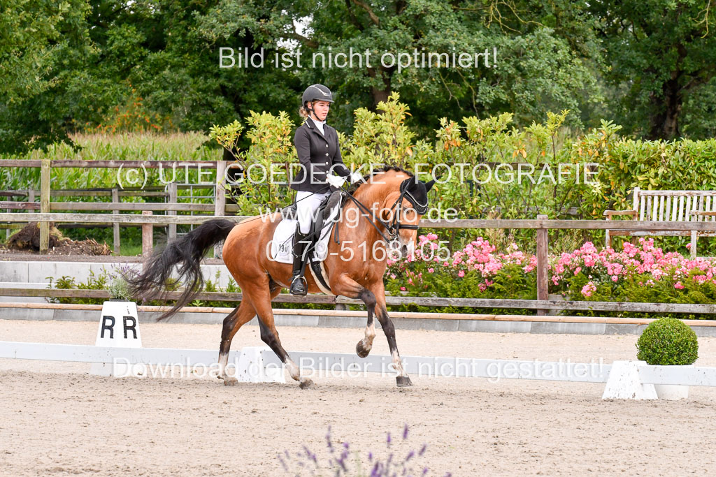 Klkein Offenseth 1.8.2021 | 01082021 Dressur M 2+ +_089 