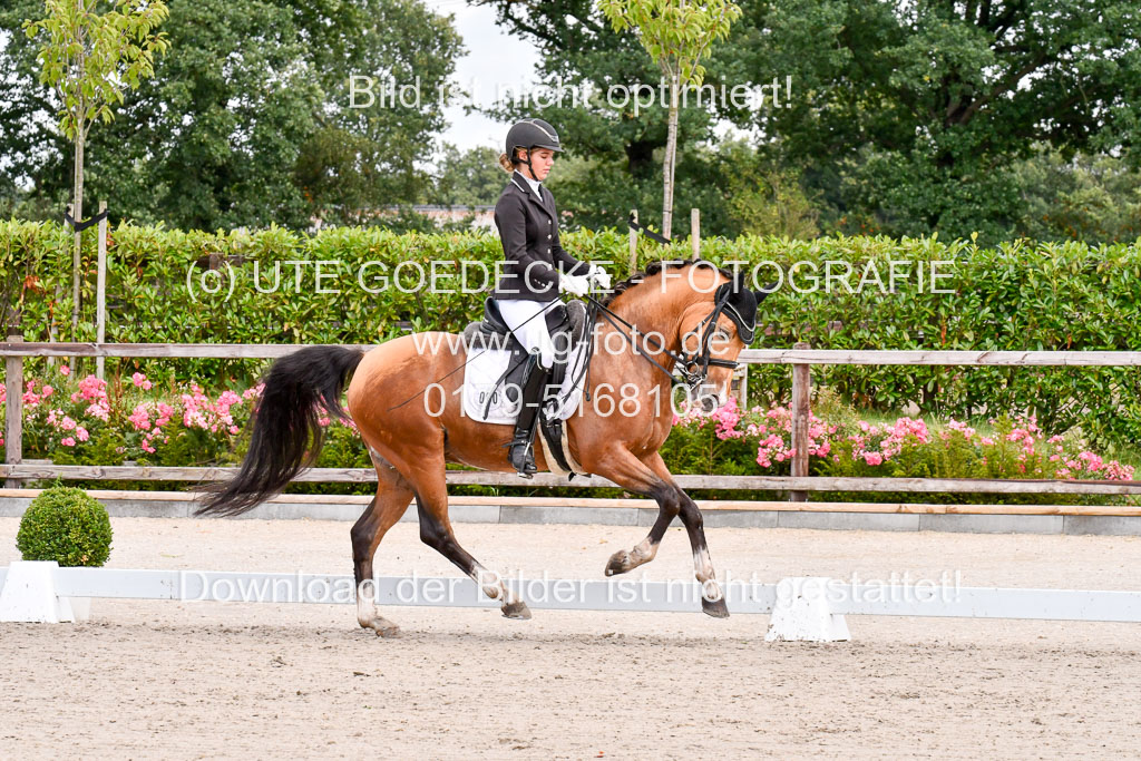 Klkein Offenseth 1.8.2021 | 01082021 Dressur M 2+ +_094 