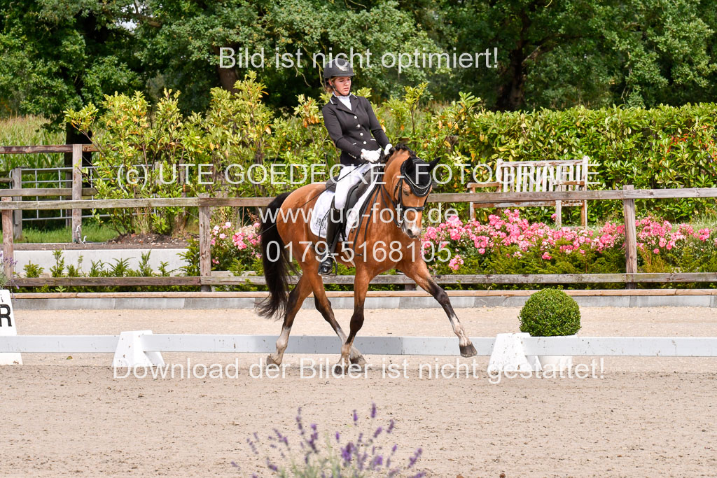 Klkein Offenseth 1.8.2021 | 01082021 Dressur M 2+ +_098 