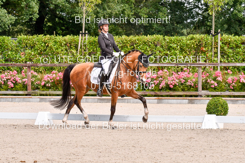 Klkein Offenseth 1.8.2021 | 01082021 Dressur M 2+ +_102 