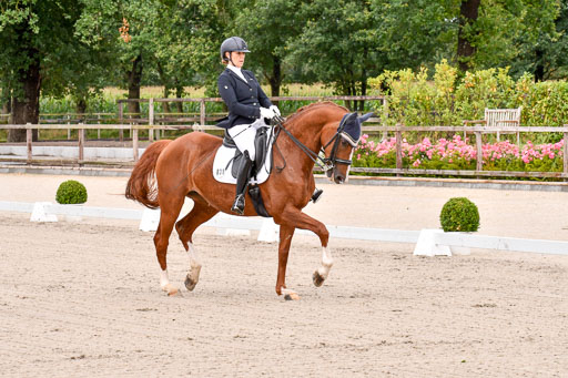 Klkein Offenseth 1.8.2021 | 01082021 Dressur M 2+ +_016 