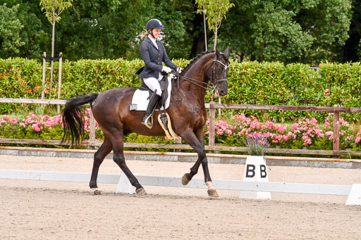 Klkein Offenseth 1.8.2021 | 01082021 Dressur M 2+ +_022 