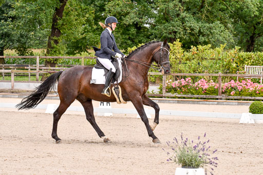 Klkein Offenseth 1.8.2021 | 01082021 Dressur M 2+ +_030 