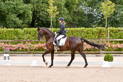 Klkein Offenseth 1.8.2021 | 01082021 Dressur M 2+ +_031 