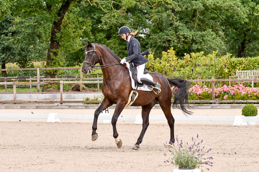 Klkein Offenseth 1.8.2021 | 01082021 Dressur M 2+ +_033 