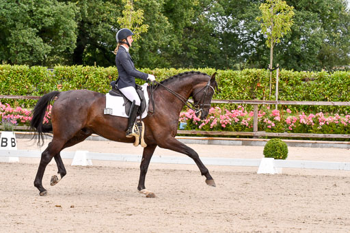 Klkein Offenseth 1.8.2021 | 01082021 Dressur M 2+ +_036 