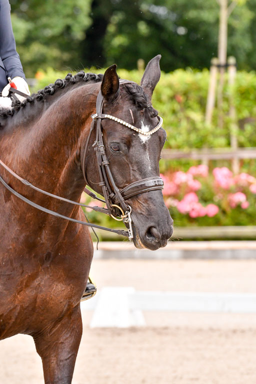 Klkein Offenseth 1.8.2021 | 01082021 Dressur M 2+ +_039 