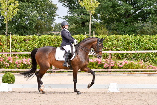 Klkein Offenseth 1.8.2021 | 01082021 Dressur M 2+ +_041 