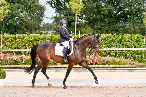 Klkein Offenseth 1.8.2021 | 01082021 Dressur M 2+ +_042 