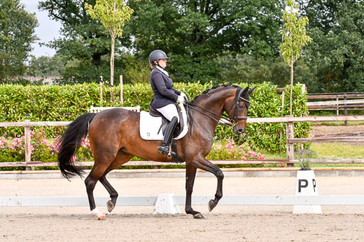 Klkein Offenseth 1.8.2021 | 01082021 Dressur M 2+ +_043 