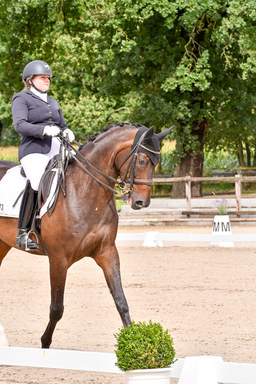 Klkein Offenseth 1.8.2021 | 01082021 Dressur M 2+ +_047 