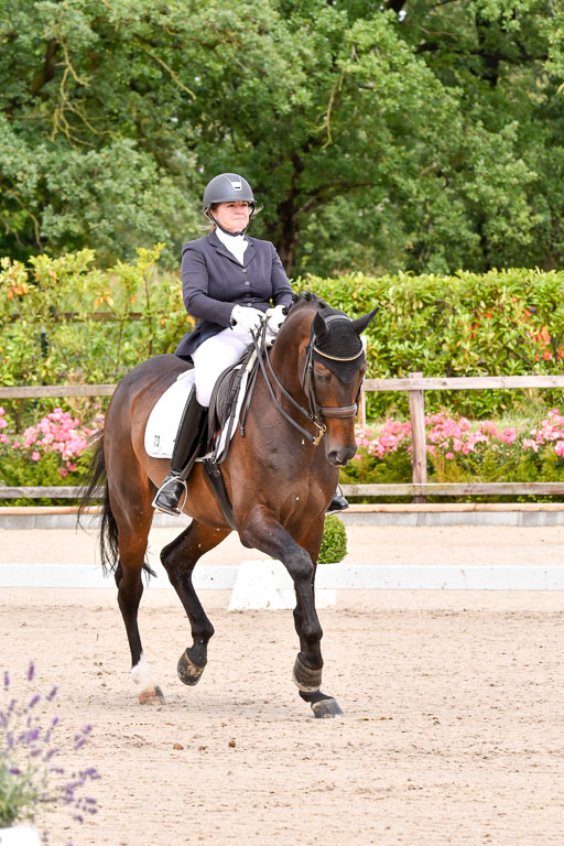 Klkein Offenseth 1.8.2021 | 01082021 Dressur M 2+ +_050 