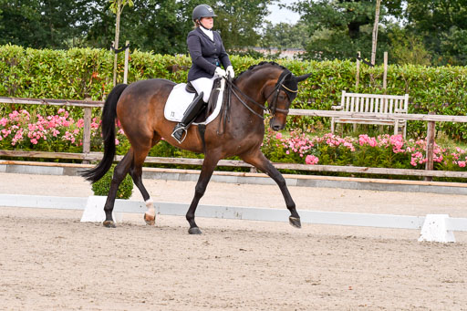 Klkein Offenseth 1.8.2021 | 01082021 Dressur M 2+ +_054 