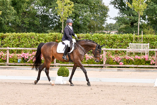 Klkein Offenseth 1.8.2021 | 01082021 Dressur M 2+ +_061 