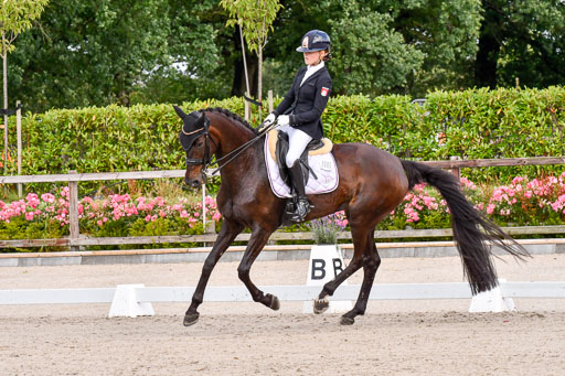 Klkein Offenseth 1.8.2021 | 01082021 Dressur M 2+ +_072 