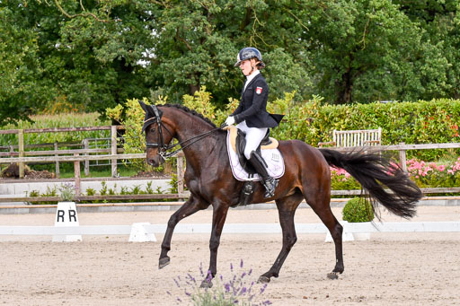 Klkein Offenseth 1.8.2021 | 01082021 Dressur M 2+ +_073 