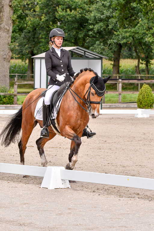 Klkein Offenseth 1.8.2021 | 01082021 Dressur M 2+ +_088 