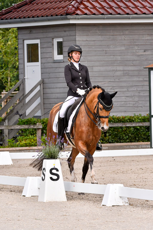 Klkein Offenseth 1.8.2021 | 01082021 Dressur M 2+ +_095 