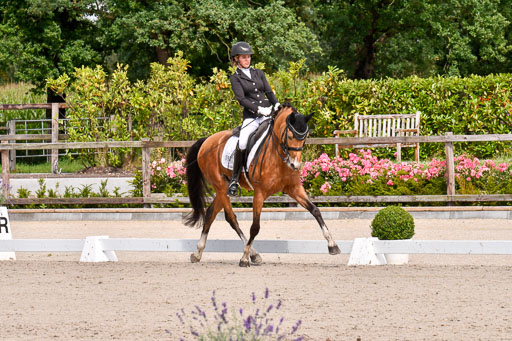 Klkein Offenseth 1.8.2021 | 01082021 Dressur M 2+ +_098 