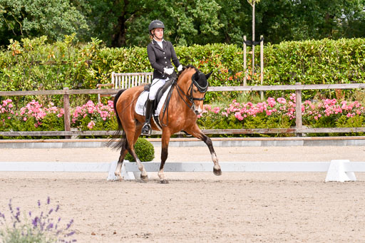 Klkein Offenseth 1.8.2021 | 01082021 Dressur M 2+ +_099 