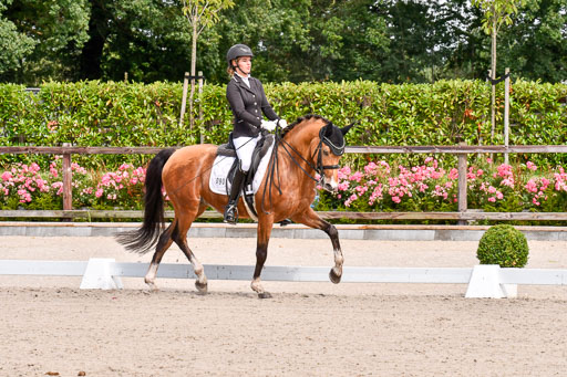 Klkein Offenseth 1.8.2021 | 01082021 Dressur M 2+ +_102 