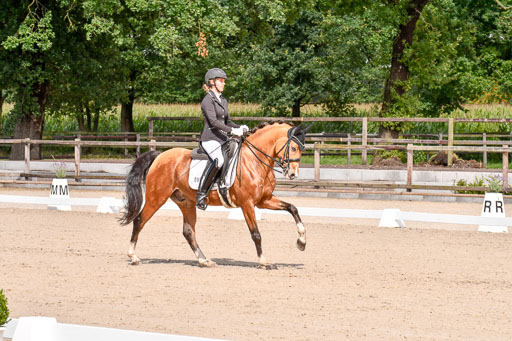 Klkein Offenseth 1.8.2021 | 01082021 Dressur M 2+ +_104 