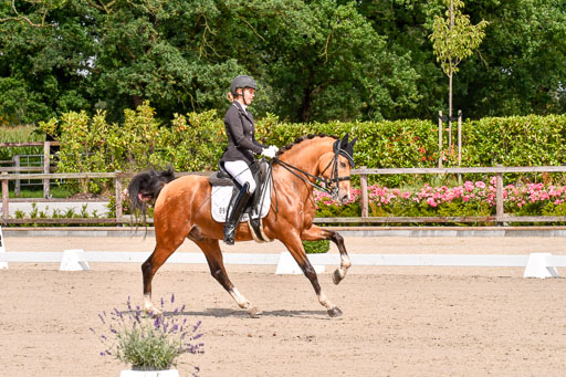 Klkein Offenseth 1.8.2021 | 01082021 Dressur M 2+ +_106 