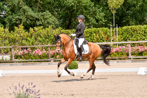 Klkein Offenseth 1.8.2021 | 01082021 Dressur M 2+ +_108 