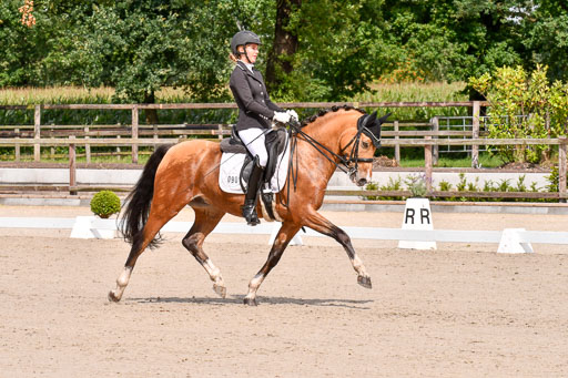 Klkein Offenseth 1.8.2021 | 01082021 Dressur M 2+ +_110 