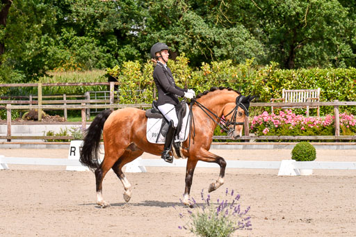 Klkein Offenseth 1.8.2021 | 01082021 Dressur M 2+ +_111 