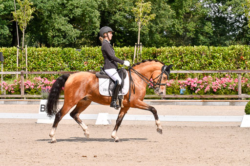 Klkein Offenseth 1.8.2021 | 01082021 Dressur M 2+ +_112 