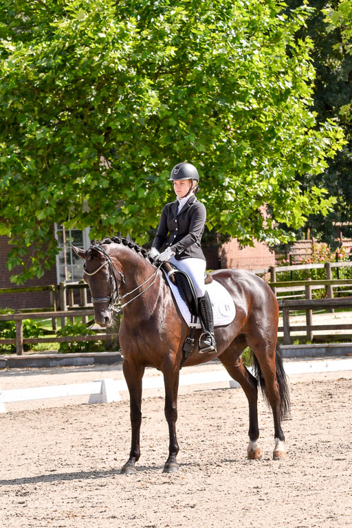 Klkein Offenseth 1.8.2021 | 01082021 Dressur M 2+ +_115 