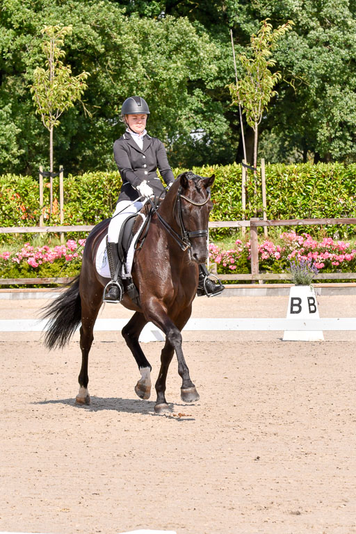 Klkein Offenseth 1.8.2021 | 01082021 Dressur M 2+ +_119 