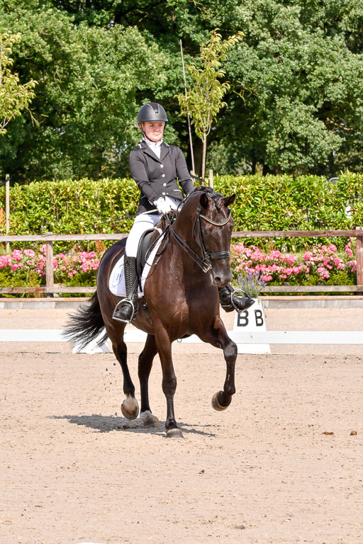 Klkein Offenseth 1.8.2021 | 01082021 Dressur M 2+ +_120 