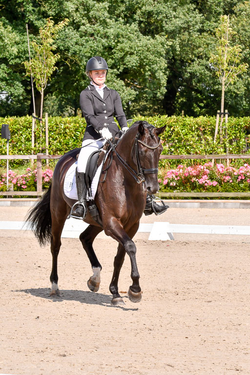 Klkein Offenseth 1.8.2021 | 01082021 Dressur M 2+ +_121 