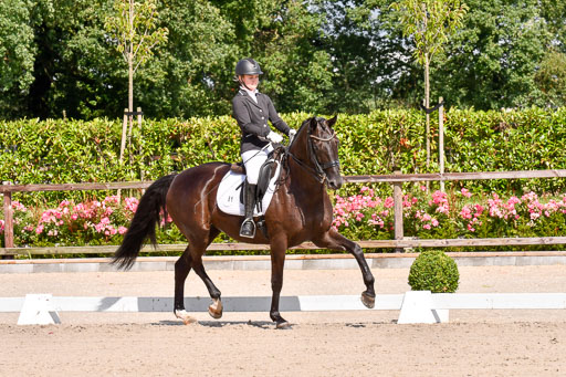 Klkein Offenseth 1.8.2021 | 01082021 Dressur M 2+ +_123 