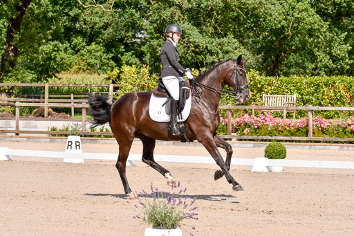 Klkein Offenseth 1.8.2021 | 01082021 Dressur M 2+ +_124 